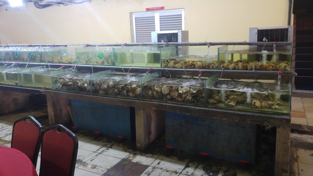 Photo of Old Village Seafood Restaurant - Kota Kinabalu, Sabah, Malaysia